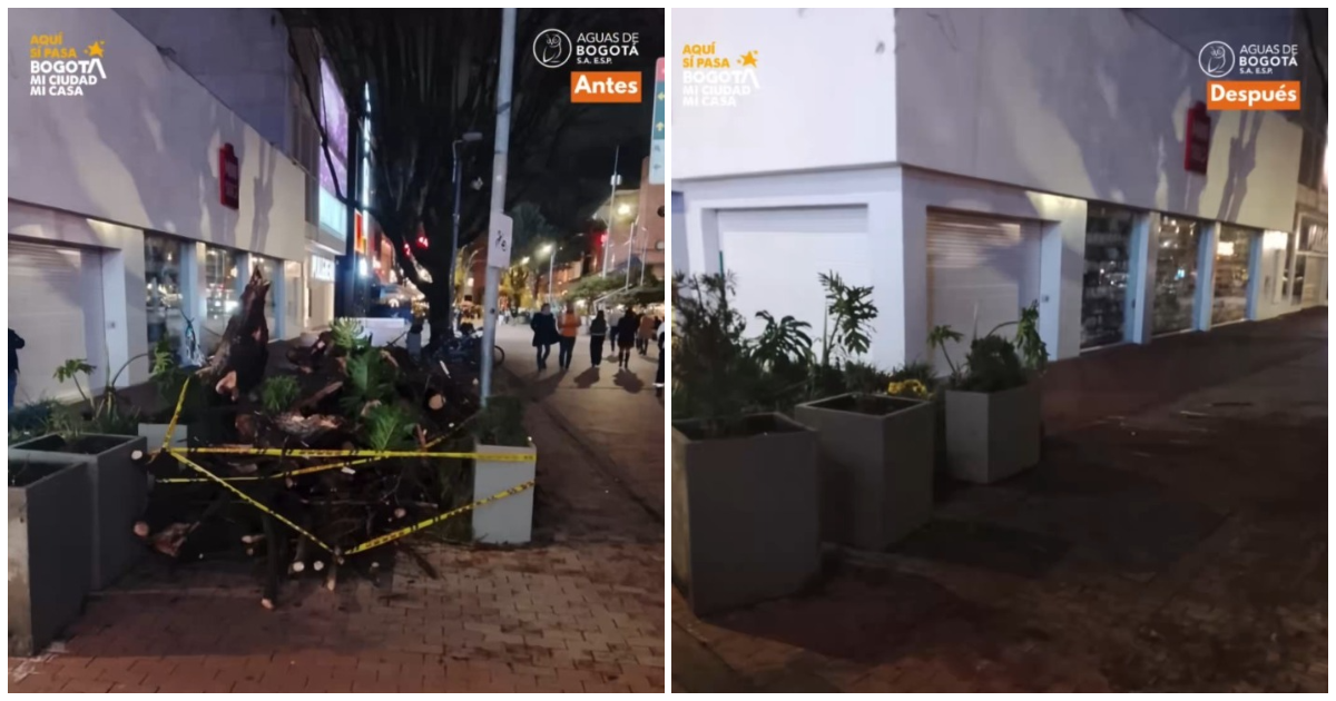 Foto que muestra una imagen residuos en el piso y al lado otra foto en la que ya no se ven residuos