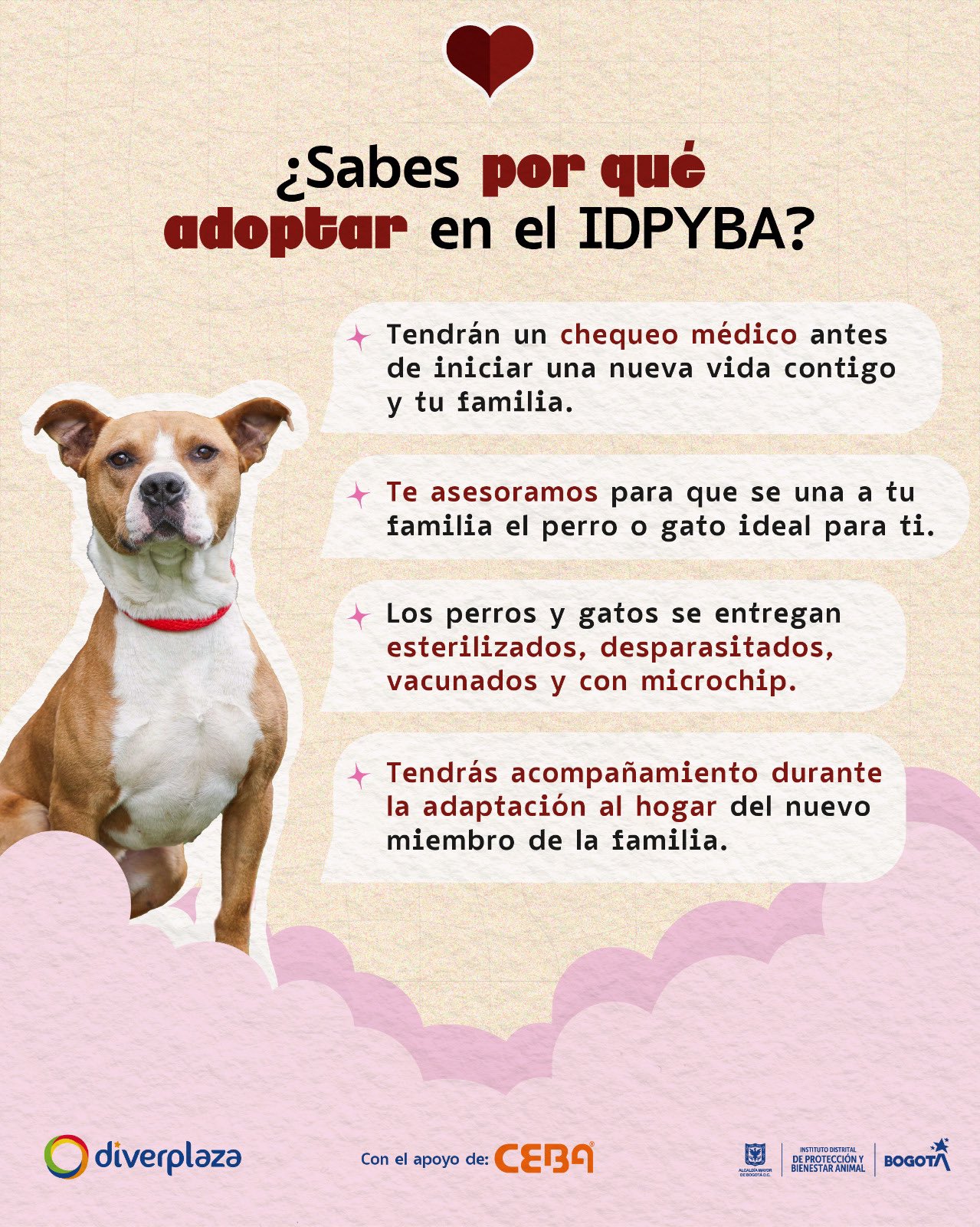 ¿Por qué es importante adoptar en el Instituto Distrital de Protección y Bienestar Animal – IDPYBA-?