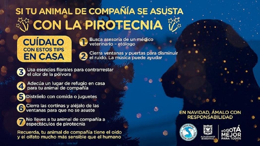 Foto: Instituto de Protección y Bienestar Animal