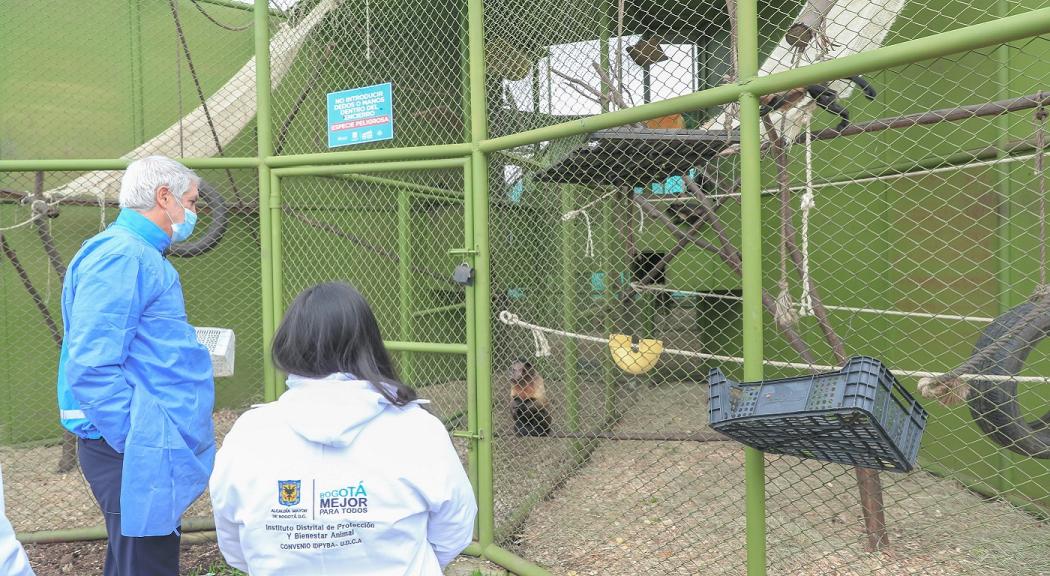 Rescate animales silvestres en Bogotá - Foto: Secretaría de Ambiente