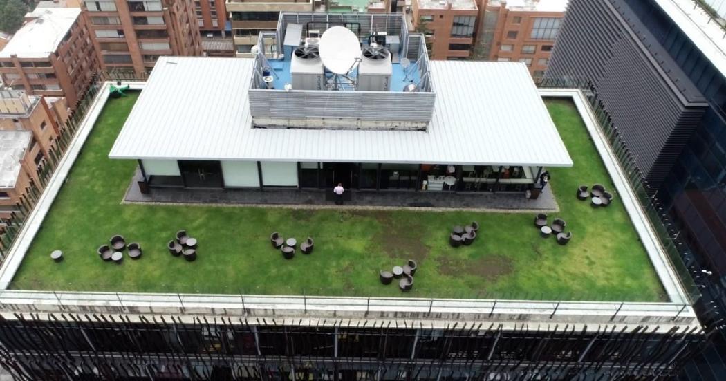 ¿Cómo construir un techo verde en el tejado de tu casa? 