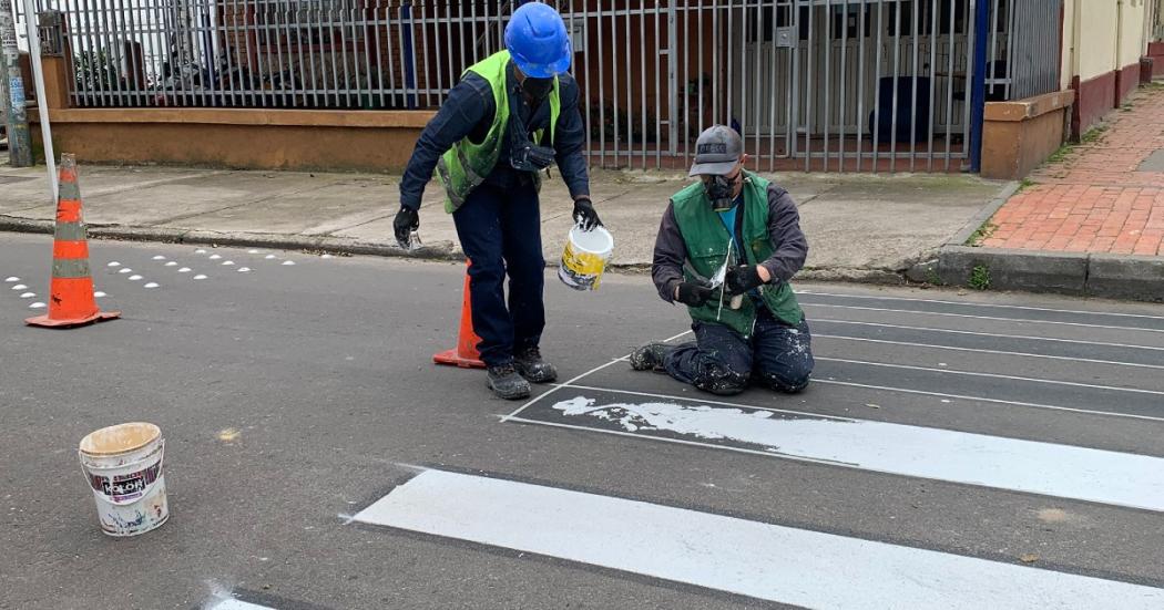 Comienza 'Cebratón' en Bogotá, en un día 105 cebras pintadas peatones