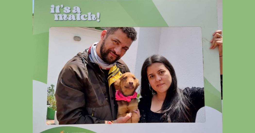 Adopciones de perros en Bogotá: ¿Qué requisitos necesitas? 🐶 guau..