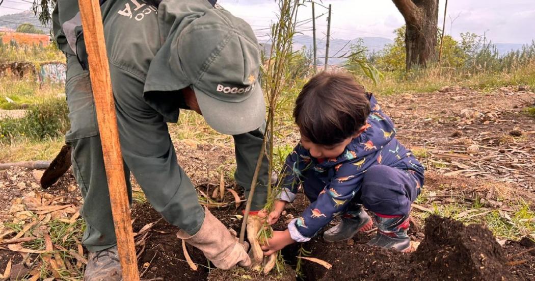 Con plantatón de árboles Bogotá celebró el Día Mundial de la Tierra