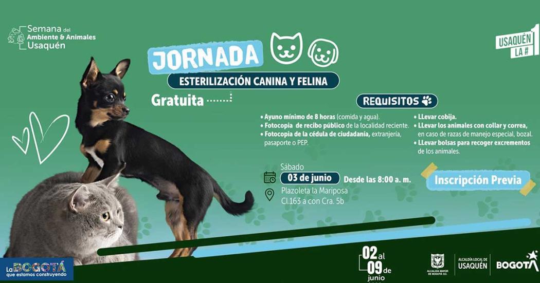 Esteriliza a tu mascota gratis en Usaquén: Inscríbete para junio 3