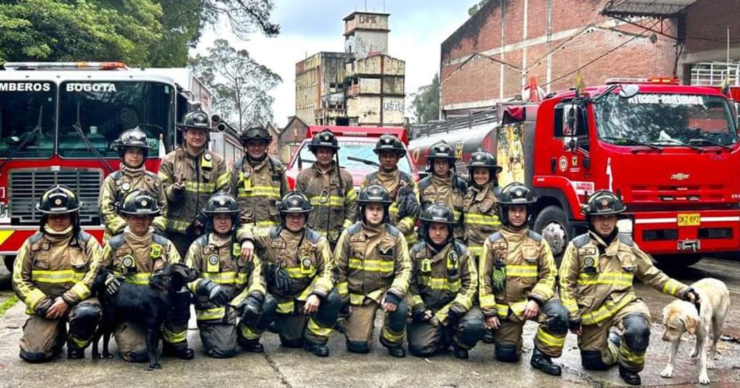 Conoce las líneas de atención del Cuerpo Oficial de Bomberos de Bogotá 