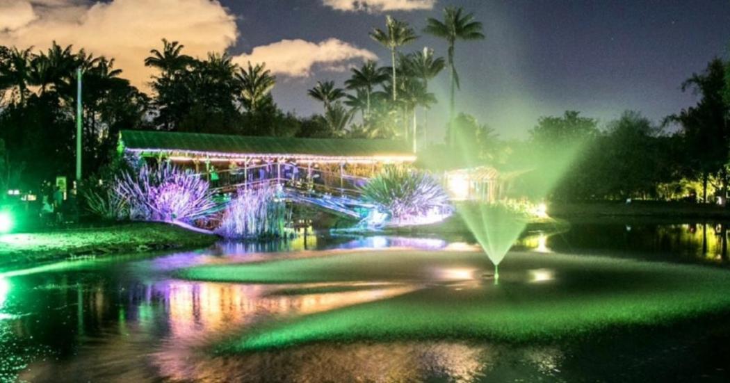 Jardín Botánico de noche