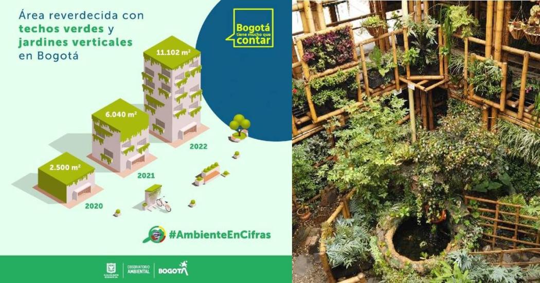 Techos verdes construidos y más datos en Observatorio Ambiental Bogotá