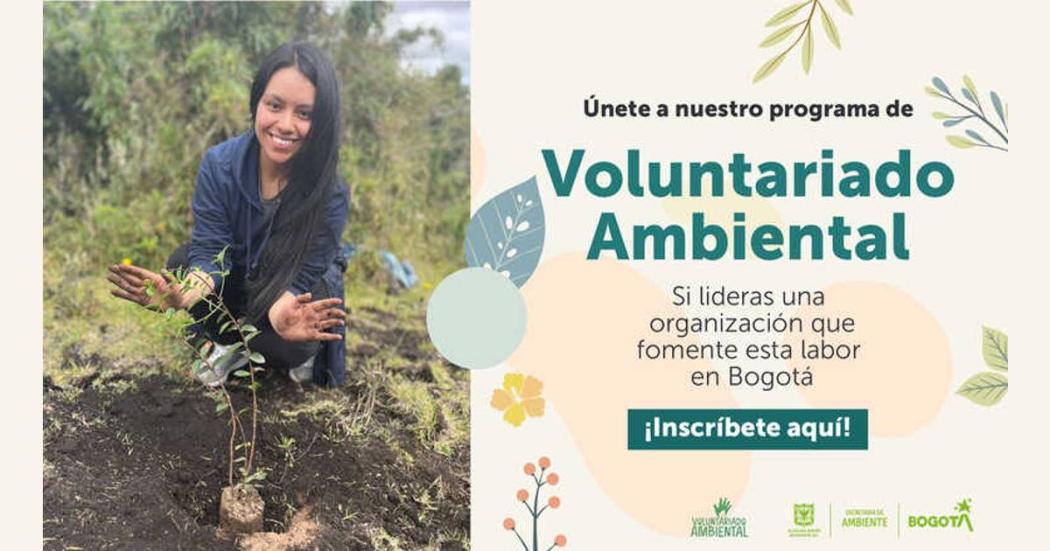 Inscripciones para programa de voluntariado ambiental en Bogotá 2023