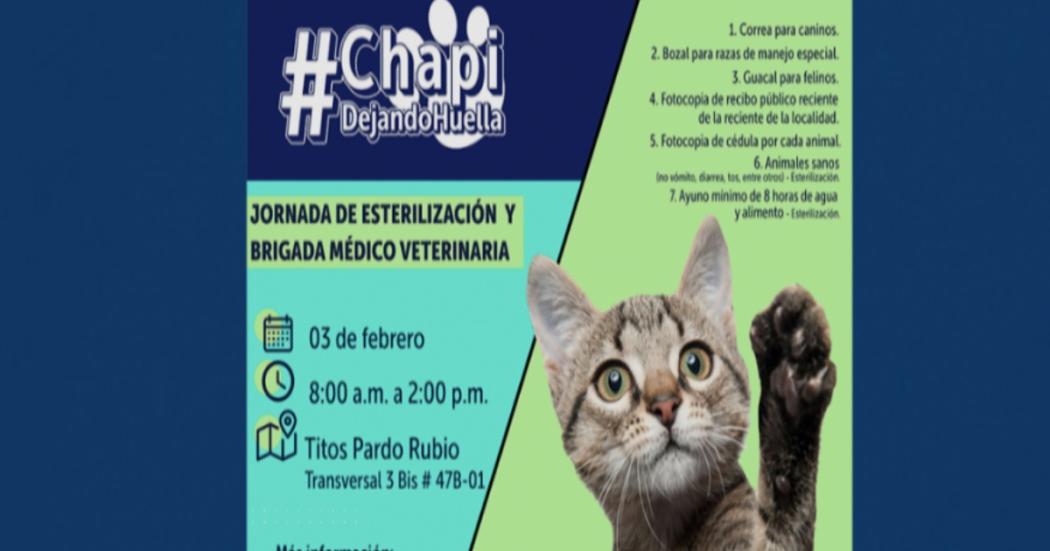 Invitación alcaldía de Chapinero a jornada de esterilización