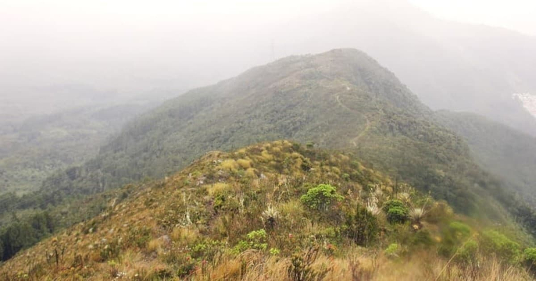 Distrito cierra Caminos de los Cerros para evitar incendios forestales