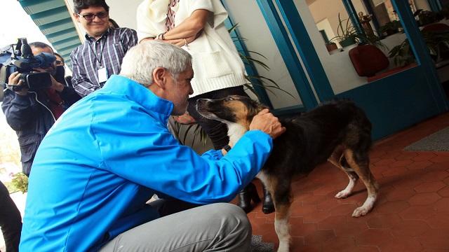 Centro de Protección Animal - Foto: Prensa Alcaldía Mayor, Diego Bautista