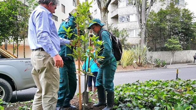 Plantación de árboles en Bogotá - Foto: Jardín Botánico