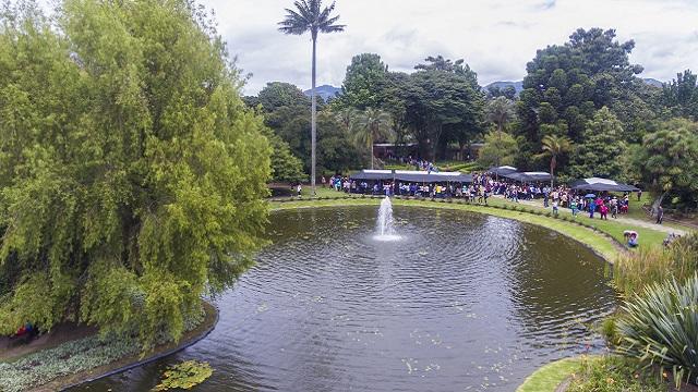 Foto: Jardín Botánico