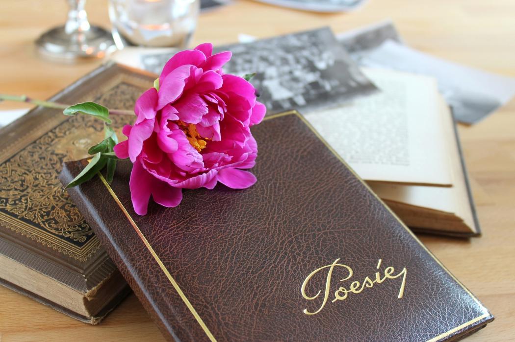 varios cuadernos colocados en una mesa con una flor violeta en la mitad - foto: pixabay
