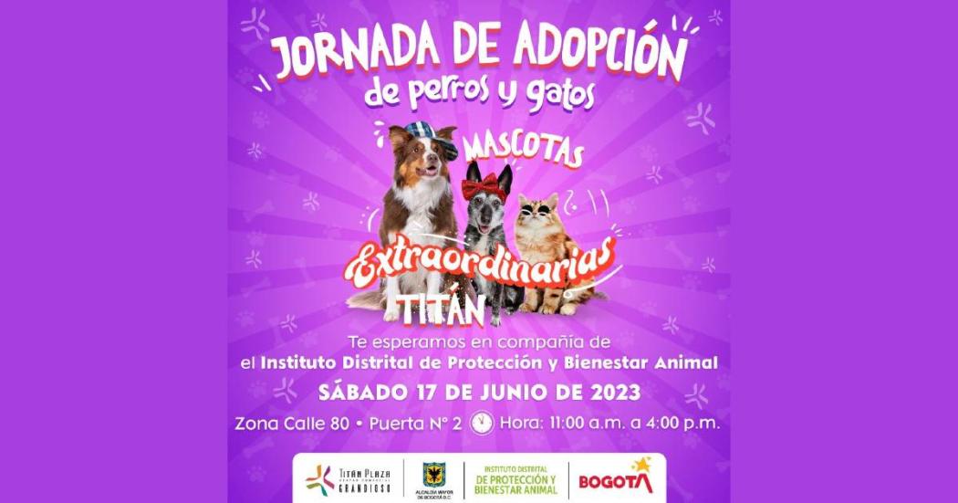 Jornada de adopción animal este 17 de junio en centro comercial Titán
