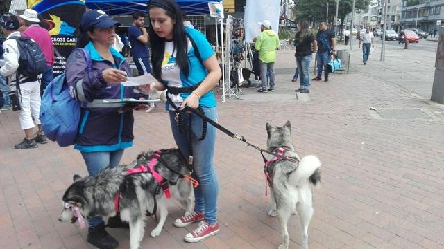En las calles, funcionarios de Aguas Bogotá capacitan a los propietarios de animales.
