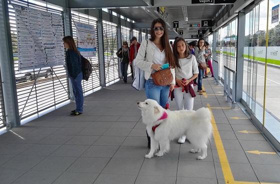 Ampliación Estación Toberín - Foto: Prensa TransMilenio