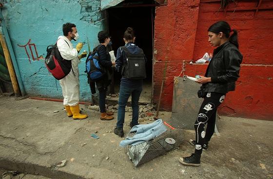 Rescate de animales del Bronx - Foto: Prensa Alcaldía Mayor de Bogotá / Diego Bauman 