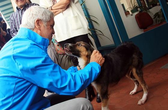 Para adoptar en Zoonosis se necesita ser mayor de edad.