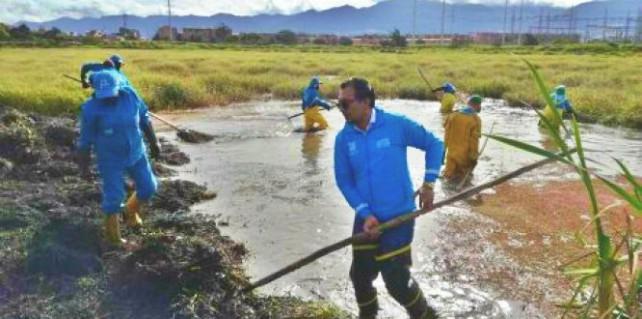 Nueva jornada de limpieza en el Humedal Tunjo- Foto: Alcaldía Local de Tunjuelito