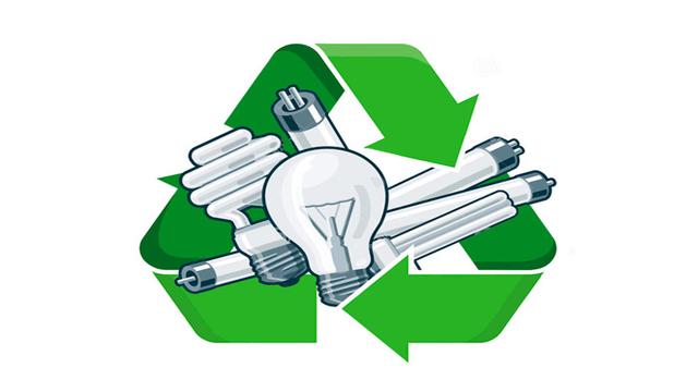 Jornada de reciclaje - Foto: Ledbox News