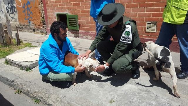Rescate animal -  FOTO: Prensa MEBOG