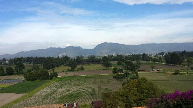 Reserva Van der Hammen - Foto: Secretaría de Ambiente