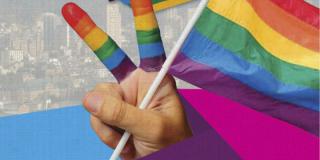 Consejo Consultico LGBTI - Imagen: IDPAC