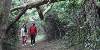 Pilas con los árboles en riesgo en época de lluvias