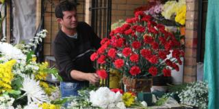 Venta de flores - Foto: IPES