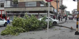 Con técnicos en campo, Codensa enfrenta emergencias - FOTO: Prensa IDIGER