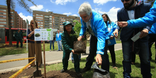Con Plan T la Alcaldía plantar 10.000 árboles este año - Foto: Alcaldía de Bogotá/Diego Baumán