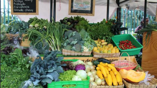 Mercado Campesino - Foto: Secretaría de Desarrollo Económico