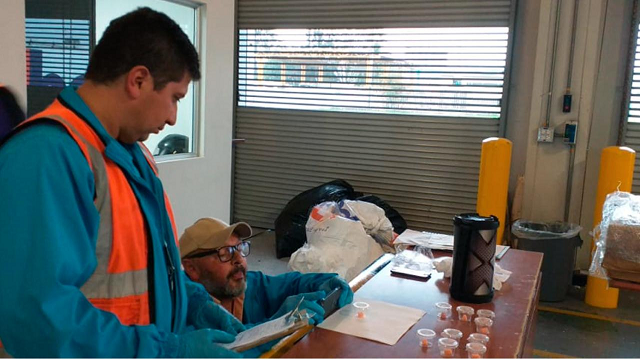 Rescatan mantis religiosas en el aeropuerto El Dorado