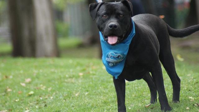 Reto Bogotá Abierta - FOTO: Prensa IDPYBA Reto Bogotá Abierta - FOTO: Prensa IDPYBA