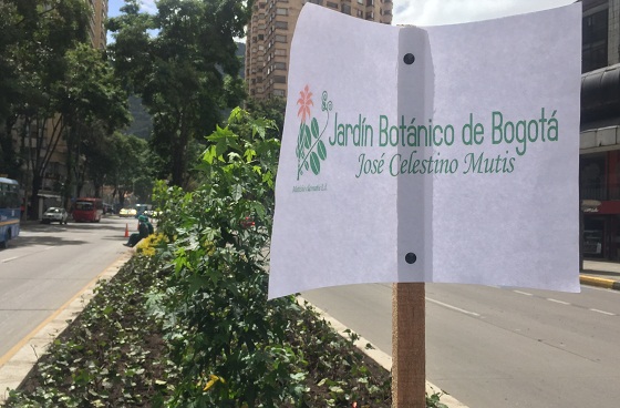 Embellecimiento Calle 19 - Foto: Prensa Alcaldía Mayor / Arcecio Vera