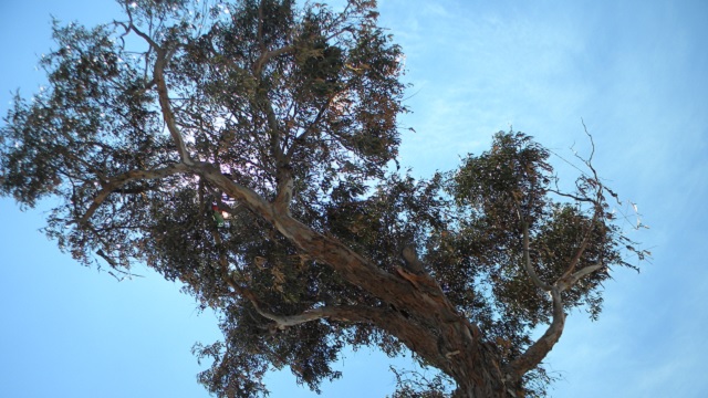 Palo del Ahorcado, Ciudad Bolívar - Foto: Lesly Segura