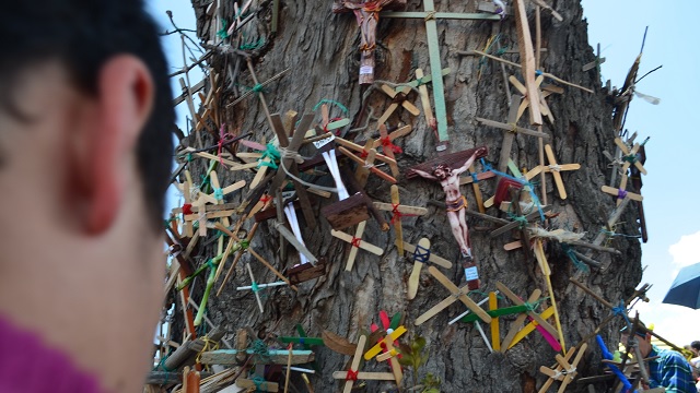 Palo del Ahorcado, Ciudad Bolívar - Foto: Edna Y. Higuera