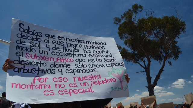 Palo del Ahorcado, Ciudad Bolívar - Foto: Edna Y. Higuera