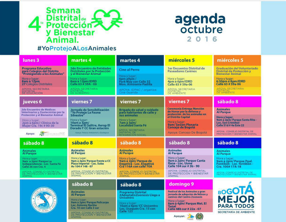 Haga clic para ampliar la imagen