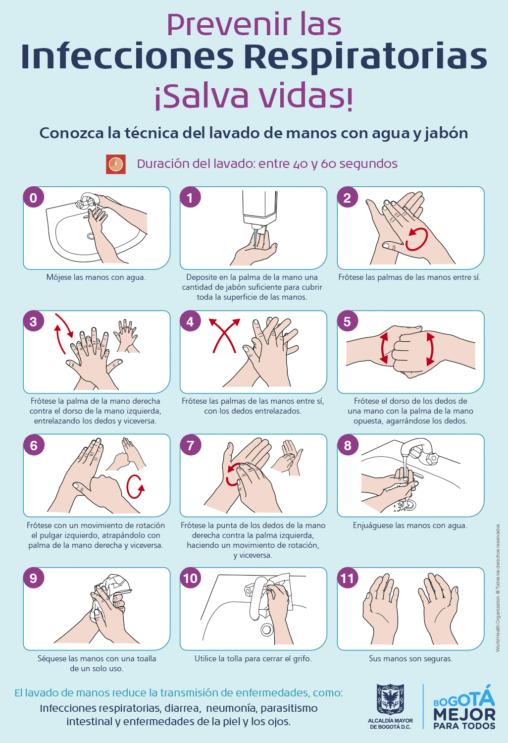 Haga clic para ampliar la imagen