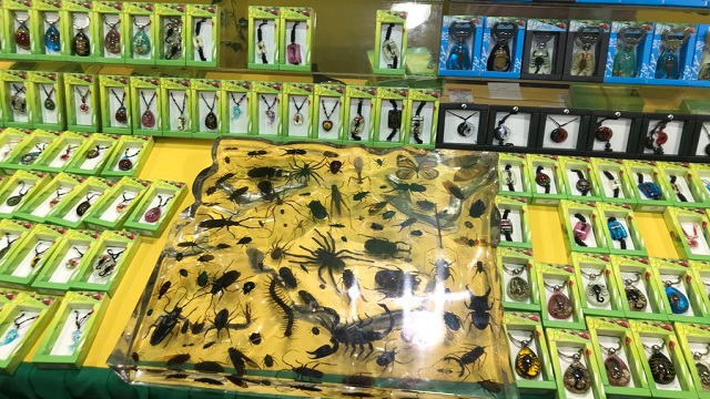 Incautan en Feria del Libro productos elaborados con fauna exótica - Foto: Secretaría de Ambiente