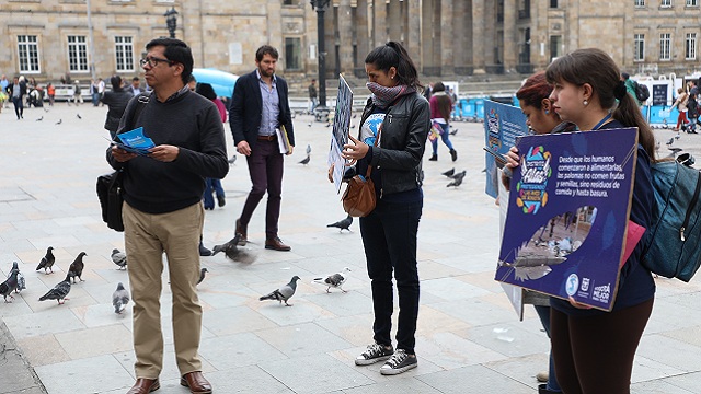 Foto: Instituto de Protección Animal