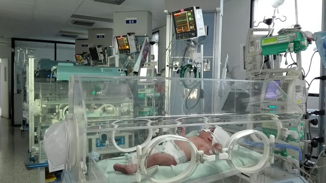 Hospitales públicos salvan la vida de cuatro bebés abandonados. Foto: Secretaría de Salud