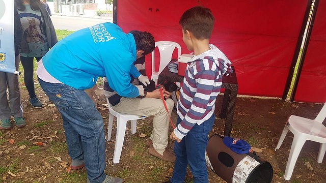Jornada de vacunación para animales - Foto: Alcaldía de Teusaquillo