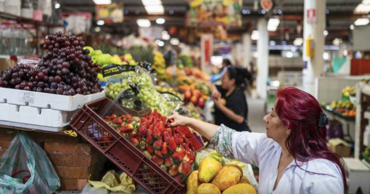 Visita la Plaza Distrital de Mercado de Fontibón al occidente de Bogotá 2025