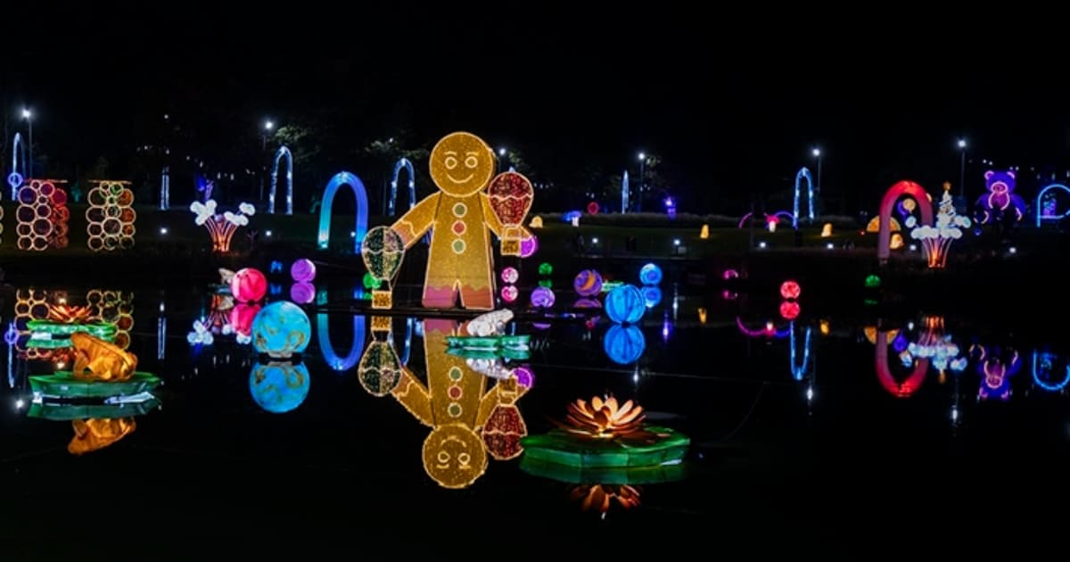 Foto de un alumbrado navideño en Bogotá.