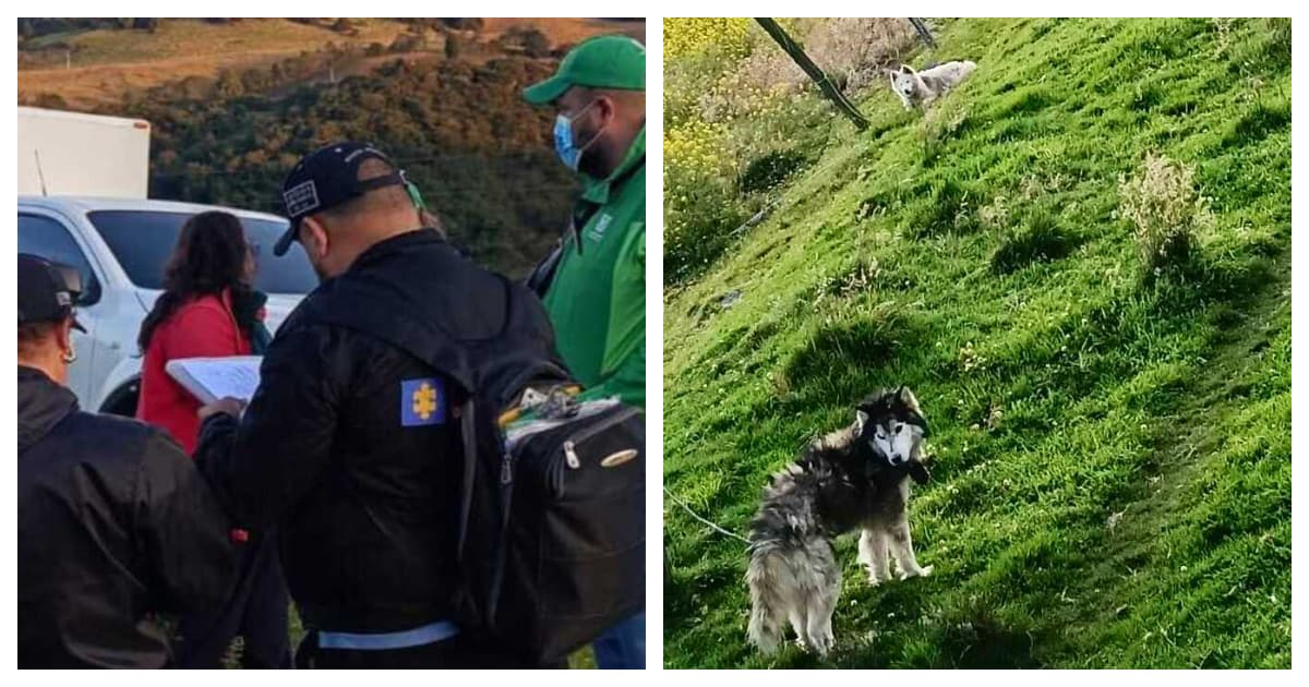 Foto de las autoridades en un operativo en un criadero ilegal en Ciudad Bolívar
