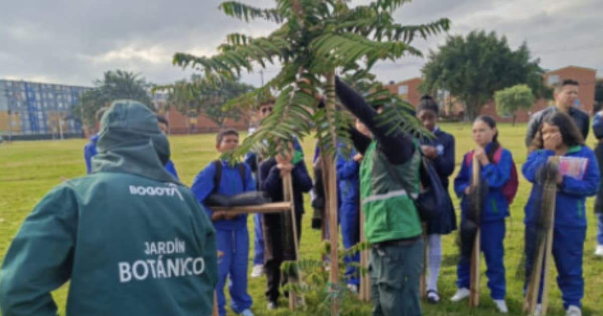 Foto de uno de los 145 nuevos árboles plantados en el parque El Recreo de Bosa en Bogotá y estudiantes guardianes.